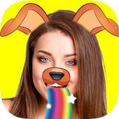 Snap Effects Blur and Filters 1.1