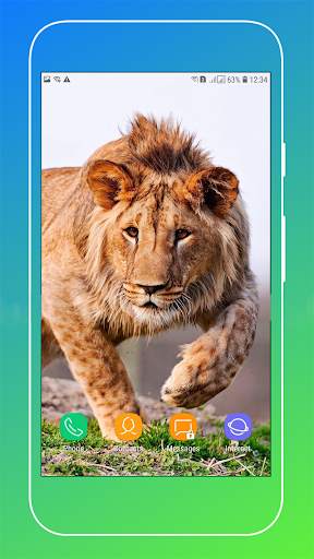 Lion Wallpaper screenshot 9
