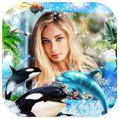 Fish Photo Frame New Version 2019 1.0