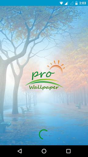 Pro Wallpaper HD screenshot 5