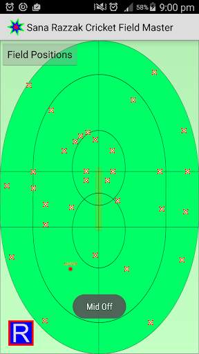 Cricket Field Master screenshot 5