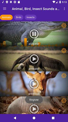 Animal, Bird, Insect Sounds and Ringtones screenshot 4