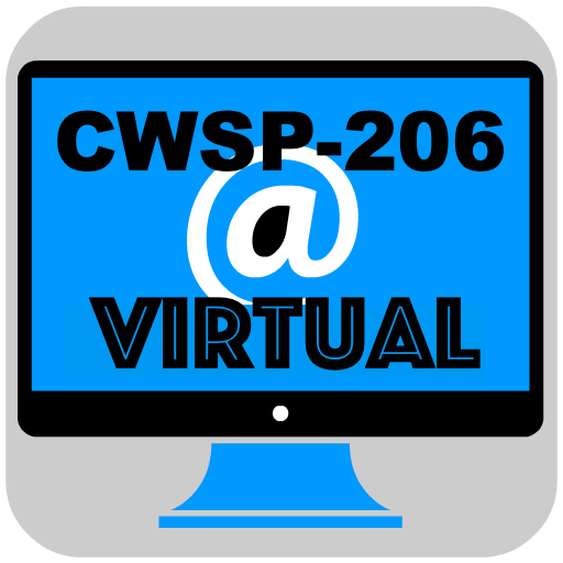 CWSP-206 Virtual Exam - Wireless Security Pro icon