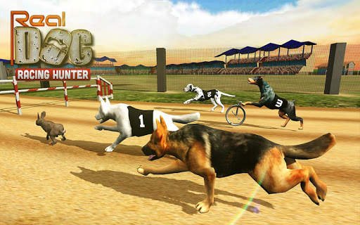 Real Dogs Racing Rabbit Hunter Greyhound Simulator screenshot 2