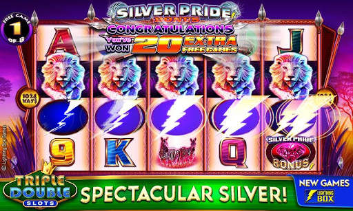Triple Double Slots - Casino screenshot 3