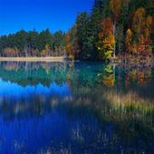 Nature Wallpapers Live icon