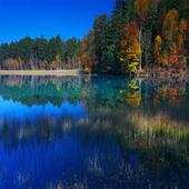 Nature Wallpapers Live 1.0