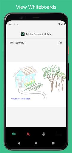 Adobe Connect screenshot 4
