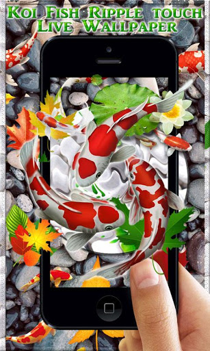 Koi Fish HD Live Wallpaper & 3D Ripple Touch screenshot 2