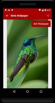 Birds Wallpaper screenshot 5