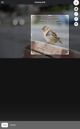 Drawing Grid 10 تصوير الشاشة