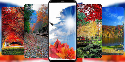 Autumn Wallpaper screenshot 1