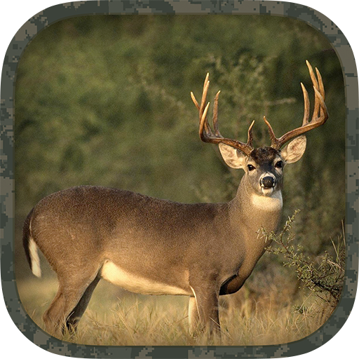 Whitetail Hunting Calls icon