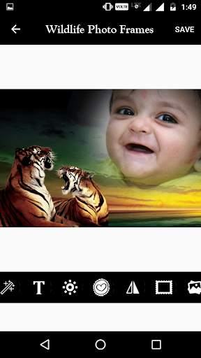 Wildlife Photo Frame screenshot 2