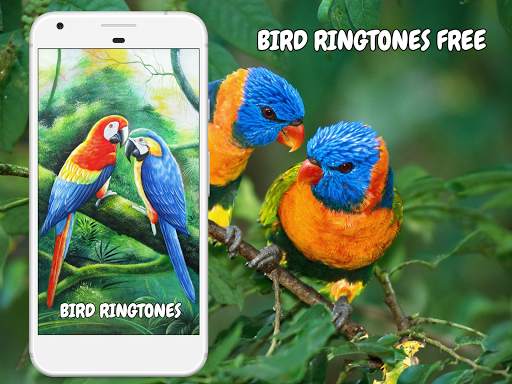 Bird Ringtones Free Download screenshot 3
