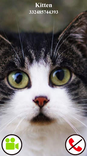 fake call video cat game screenshot 3