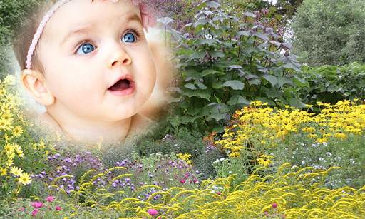 Photo Frame Family Photo Frame Garden application screenshot 5