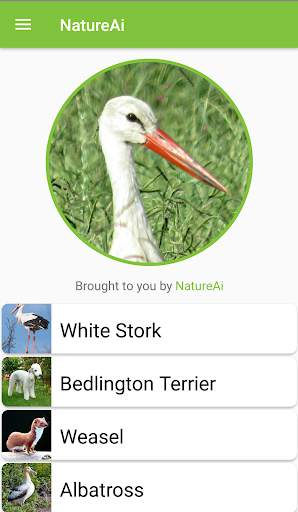 Nature Identification - Birds, Animals & Fish स्क्रीनशॉट 3