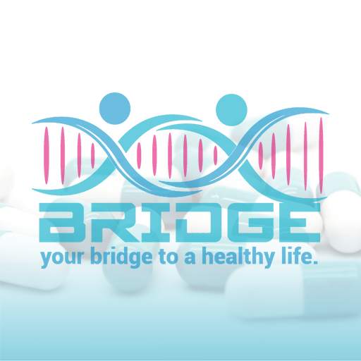 Bridge 2.3
