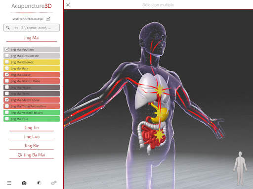 Acupuncture 3D screenshot 6