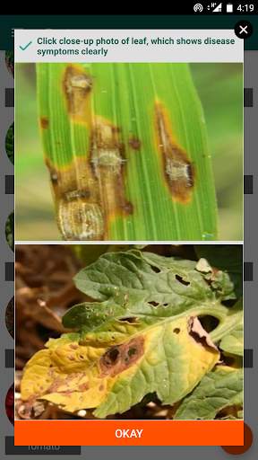 Pestoz- Identify Plant diseases screenshot 7