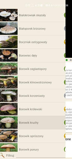 Na grzyby screenshot 4