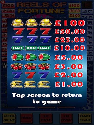 Reels of Fortune Pub Fruit Mac screenshot 4