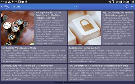 Northern Light IT News screenshot 14
