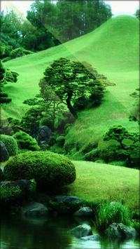 Zen Garden Live Wallpaper screenshot 3