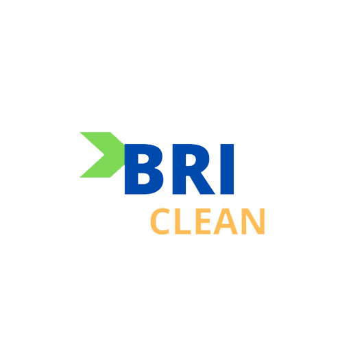 BRI Clean icon