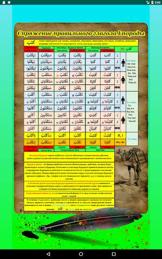 Arabic verbs - tests. Lite screenshot 14