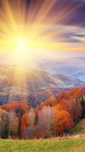 Beautiful Wallpaper 4K screenshot 10