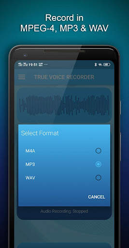 True Voice Recorder screenshot 5
