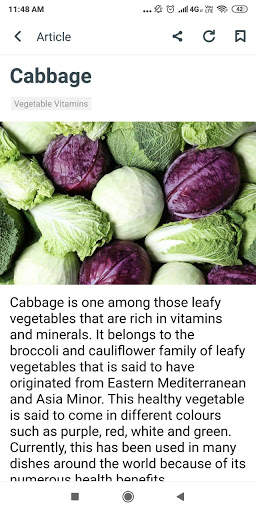 Fruits Vitamins & Vegetables Vitamins screenshot 4