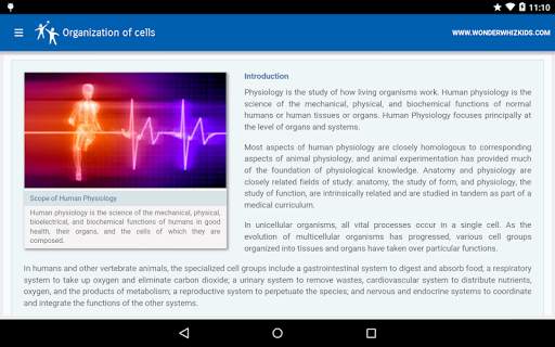 Organization of cells screenshot 2