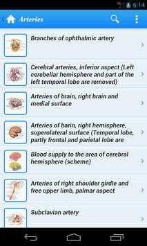 Human Anatomy II Lite screenshot 2
