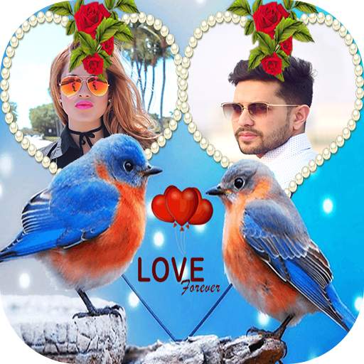Love Birds Dual Photo Frame 1.3