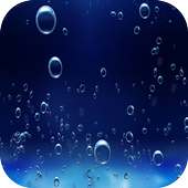 Bubbles Wallpapers