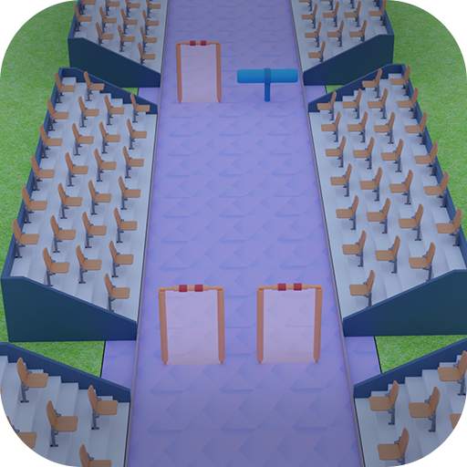 Cricket Championship 3D 1.1