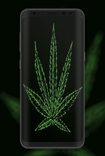 Weed HD Wallpapers and Backgrounds 3 تصوير الشاشة