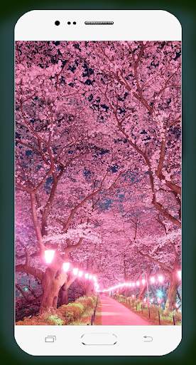 Sakura Wallpaper HD screenshot 4