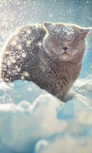 Falling Snow Live Wallpaper (live background) screenshot 3