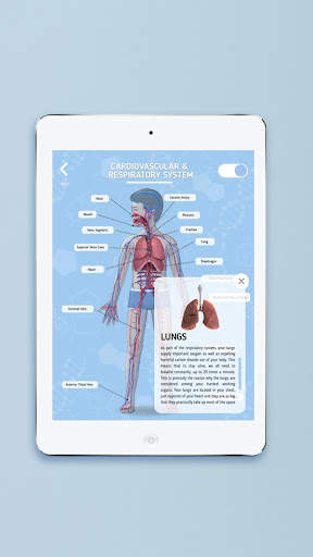 Humanoid 4D  screenshot 5