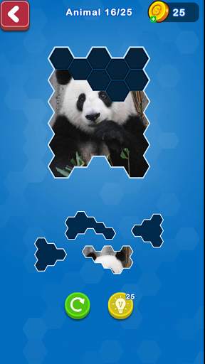 Hexa Puzzle Jigsaw: Anime Collection screenshot 2