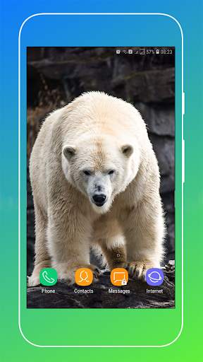 New Polar Bear Wallpaper screenshot 4
