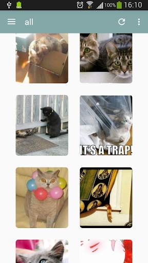 World Of Cats screenshot 7