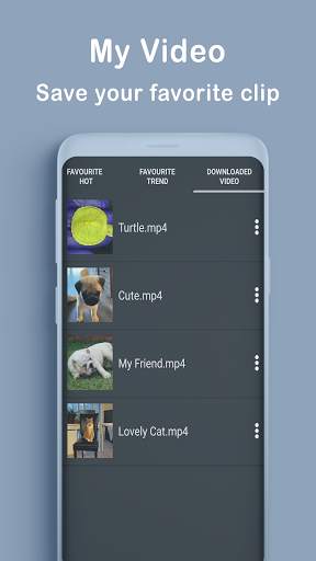 PET MEOMEO - Funny cat, dog viral videos screenshot 4