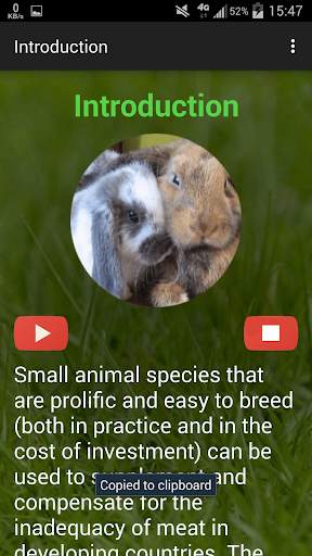 Rabbit breeding screenshot 7