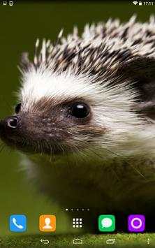 Hedgehog Live Wallpaper screenshot 3