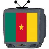 CAMEROUN TV logo